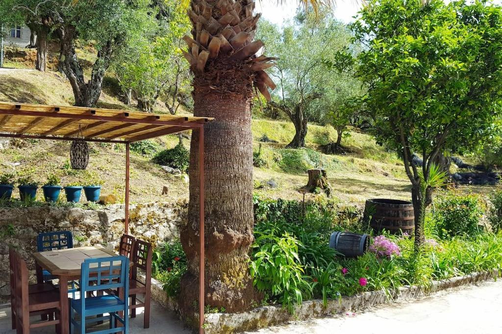 Apartment Eleonas-olive Grove Traditional