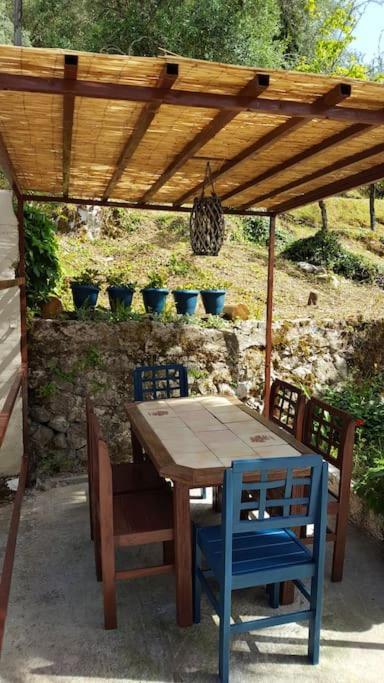 Apartment Eleonas-olive Grove Traditional