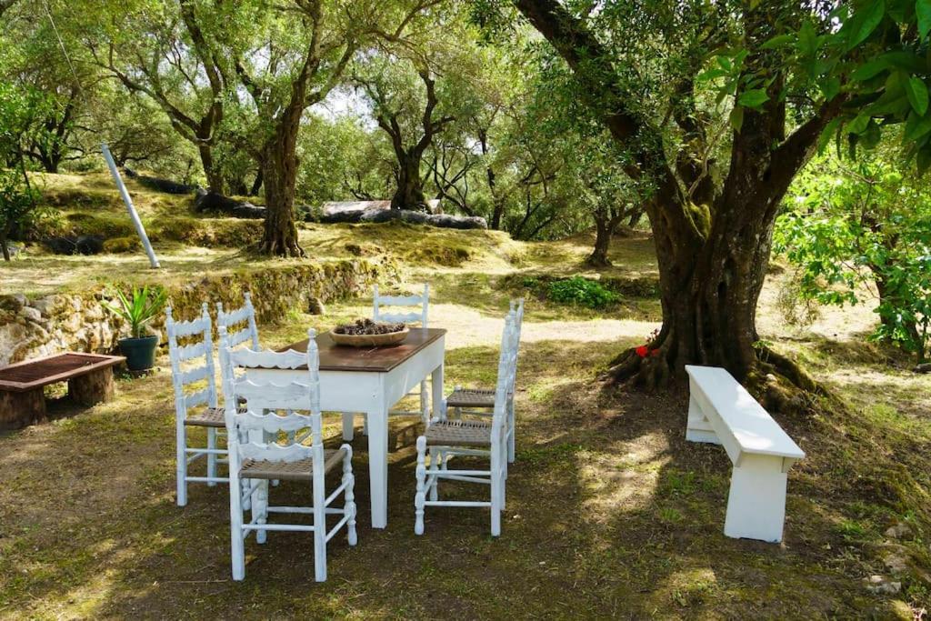 Apartment Eleonas-olive Grove Traditional
