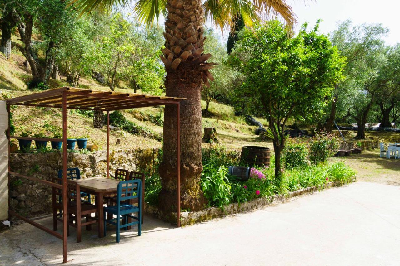 Eleonas-olive Grove Traditional Apartment Sgourades