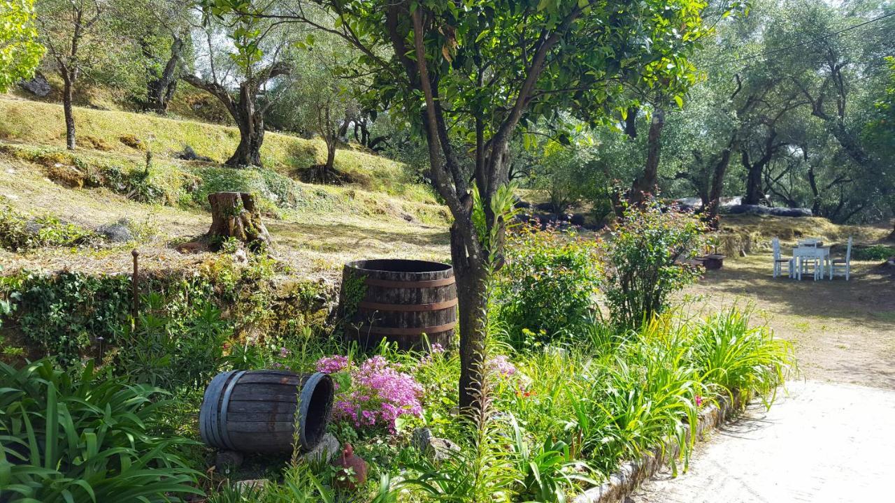 Eleonas-olive Grove Traditional