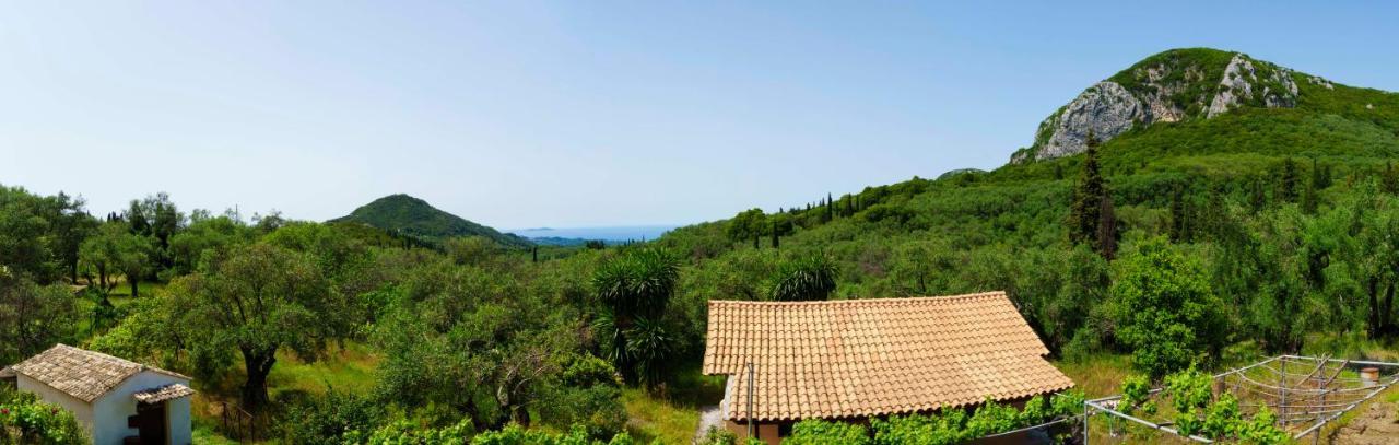 Eleonas-olive Grove Traditional * Sgourades